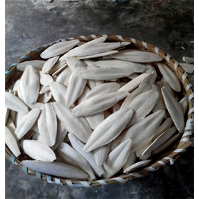 Cuttle Fish Bone-3