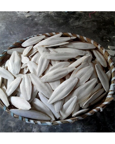 Cuttle Fish Bone-12713095