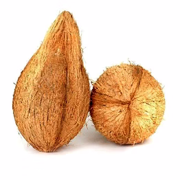 dehusked coconut