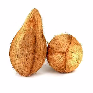 Dehusked Coconut