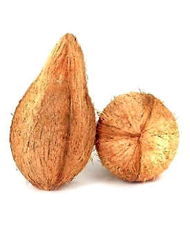 Dehusked Coconut