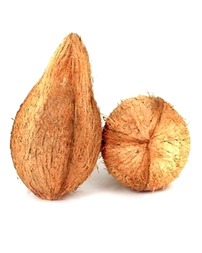 Dehusked Coconut-12713113