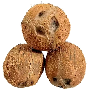 Husked Coconut