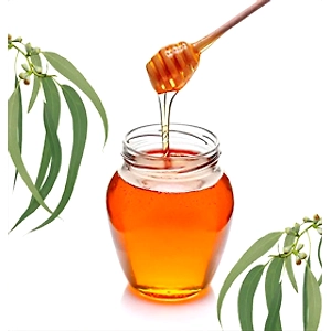 Eucalyptus Honey