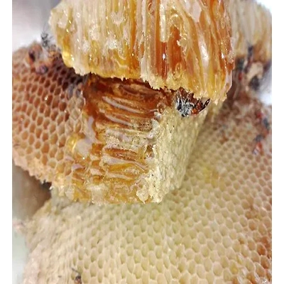 Jungle Honey-12714603