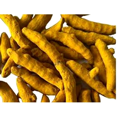 Dry Turmeric Finger-2