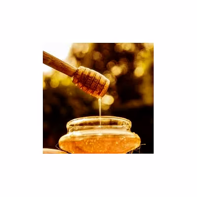 Multiflora Honey-1