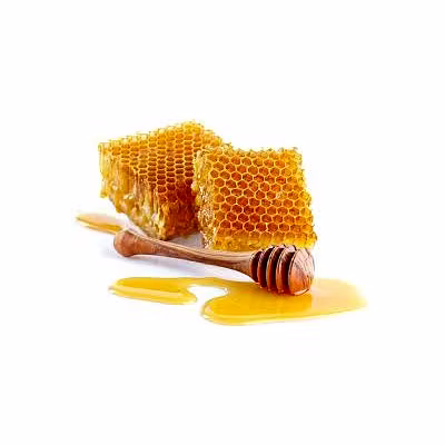 Jungle Honey-12714603