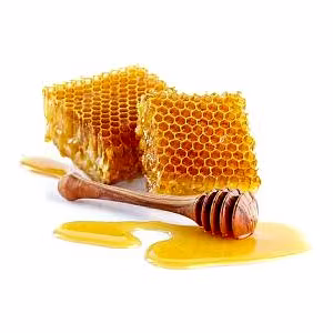 Jungle Honey