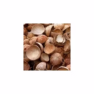 Coconut Shells