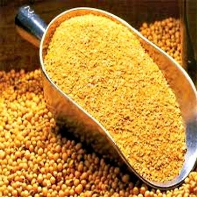 Soyabean Meal-12713101