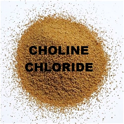 Choline-12710459