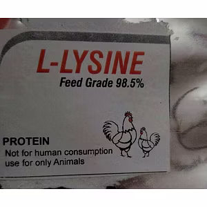 LYSINE