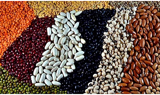 Pulses