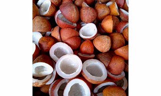 Coconut Copra