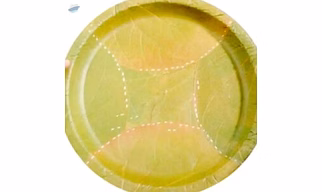 Areca Food Plate