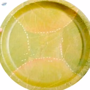 Areca Food Plate