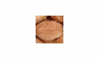 Semi Husk Coconut