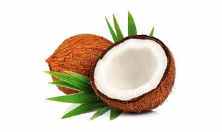 Coconut