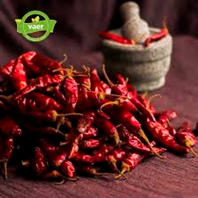 Red Chili-2