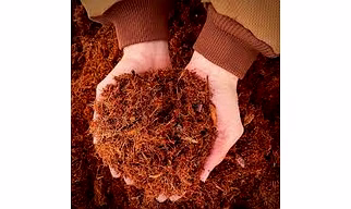 Coco Peat