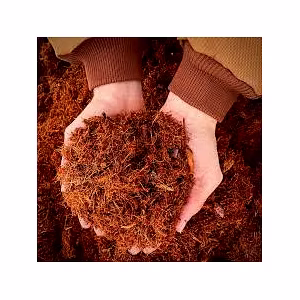 Coco Peat