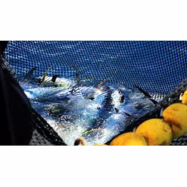 finishing net