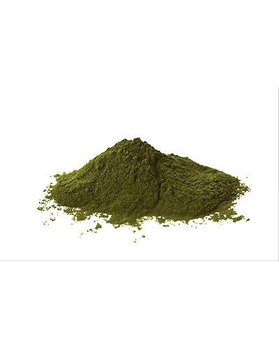Green Kelp Green seaweed extract powder-2