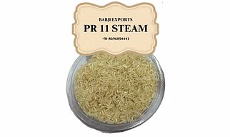 PR 11