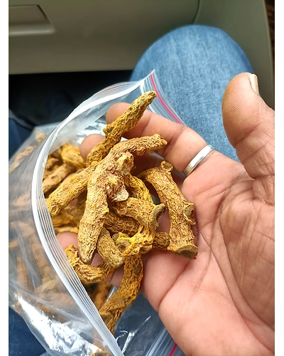 Turmeric Curcumin 5+%-2