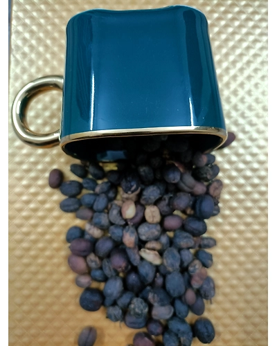 The World Famous Coffee ARABICA-1
