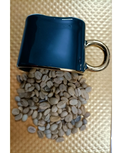 The World Famous Coffee ARABICA-2