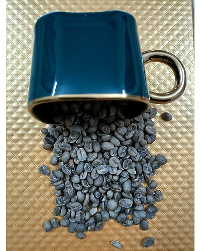 The World Famous Coffee ARABICA-3