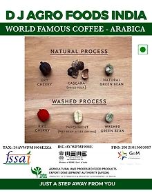 The World Famous Coffee ARABICA