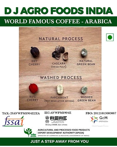 The World Famous Coffee ARABICA-DJAFIC
