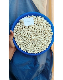 Cashew W180 / W210 / W240 / W320 / Split (2Pieces) / LWP / SWP
