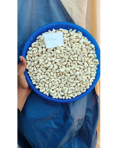 Cashew W180 / W210 / W240 / W320 / Split (2Pieces) / LWP / SWP-DJAFICK