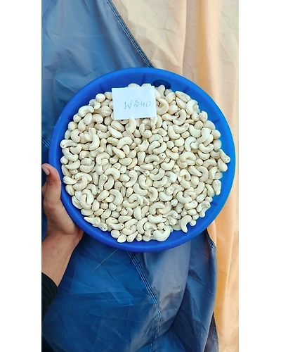 Cashew W180 / W210 / W240 / W320 / Split (2Pieces) / LWP / SWP-3