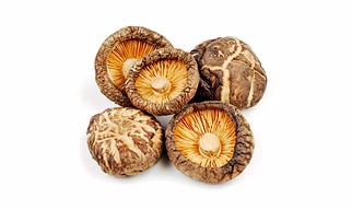Dehydrated Mushroom