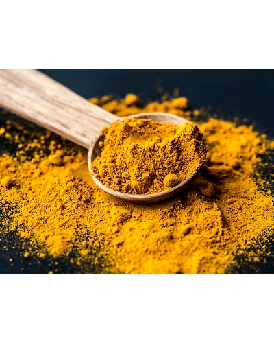 Turmeric / Haldi Powder : Indian Spices-11429520