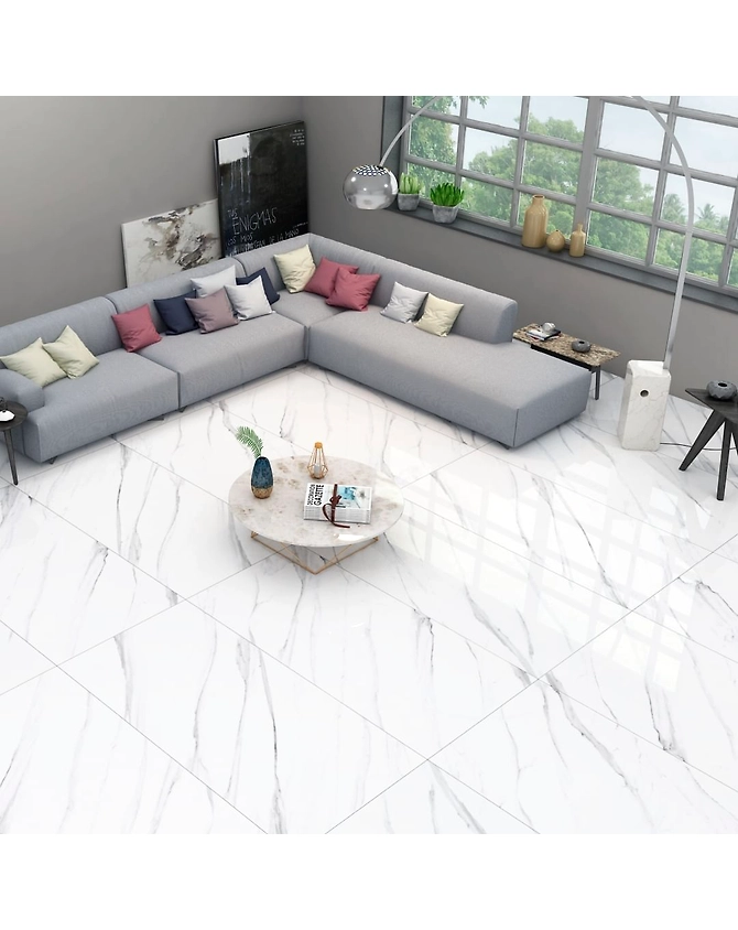24x48 Polished Porcelain Tiles-12311218