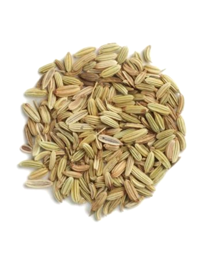 Fennel Seeds-11050428
