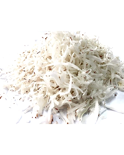 Coconut - Cocos nucifera - Flakes-1