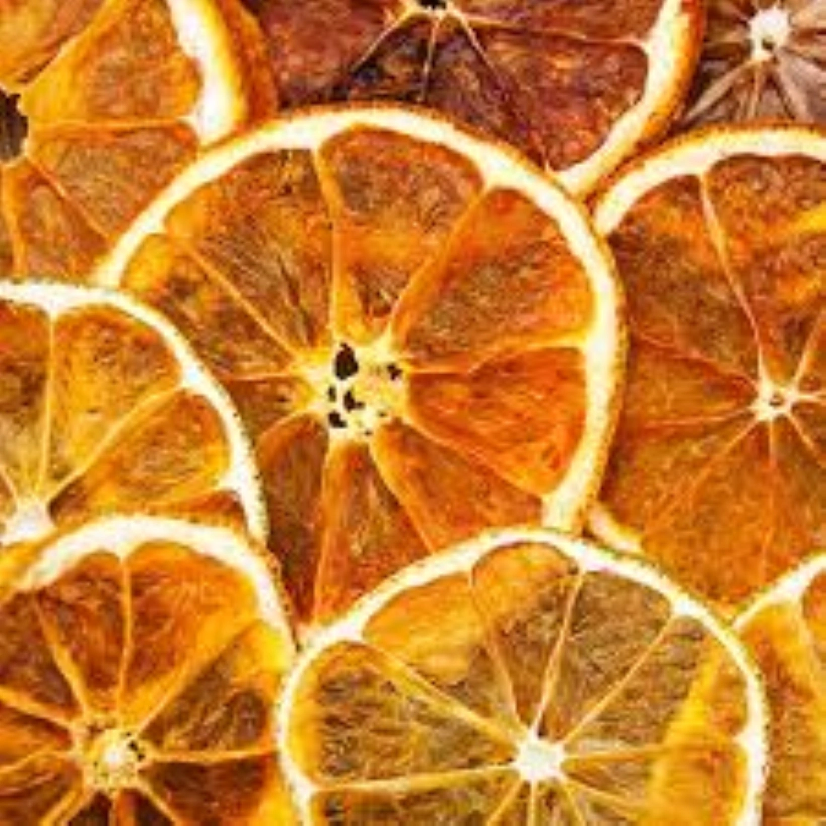 Orange - Citrus sinensis - Sliced - Dehydrated and Dried Fruit-1