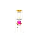 Pantene Hairfall Control Shampoo, 72 ML-AP143-72ML-sm