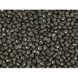 URAD BLACK WHOLE