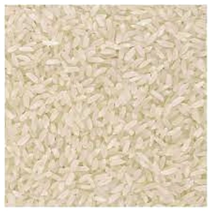 SURTI KOLAM RICE