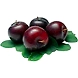 Plums - Imported/Aaloobukhara Imported-YSL192-sm