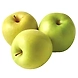 Apple - Green, Regular--sm