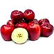 Apple - Red Delicious, Economy-YSL221-sm